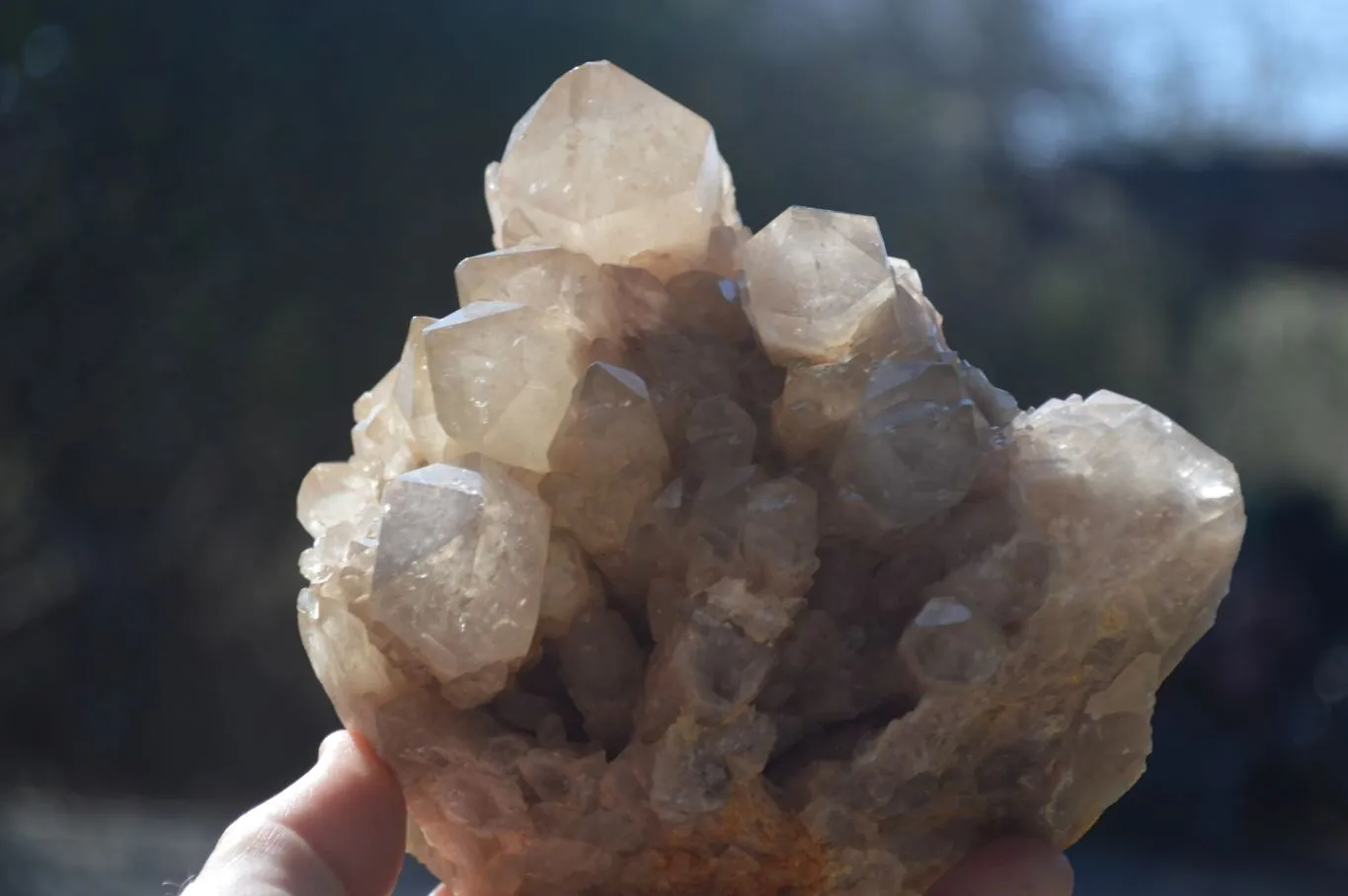 Natural Cascading Smokey Quartz Cluster x 1 From Luena, Congo