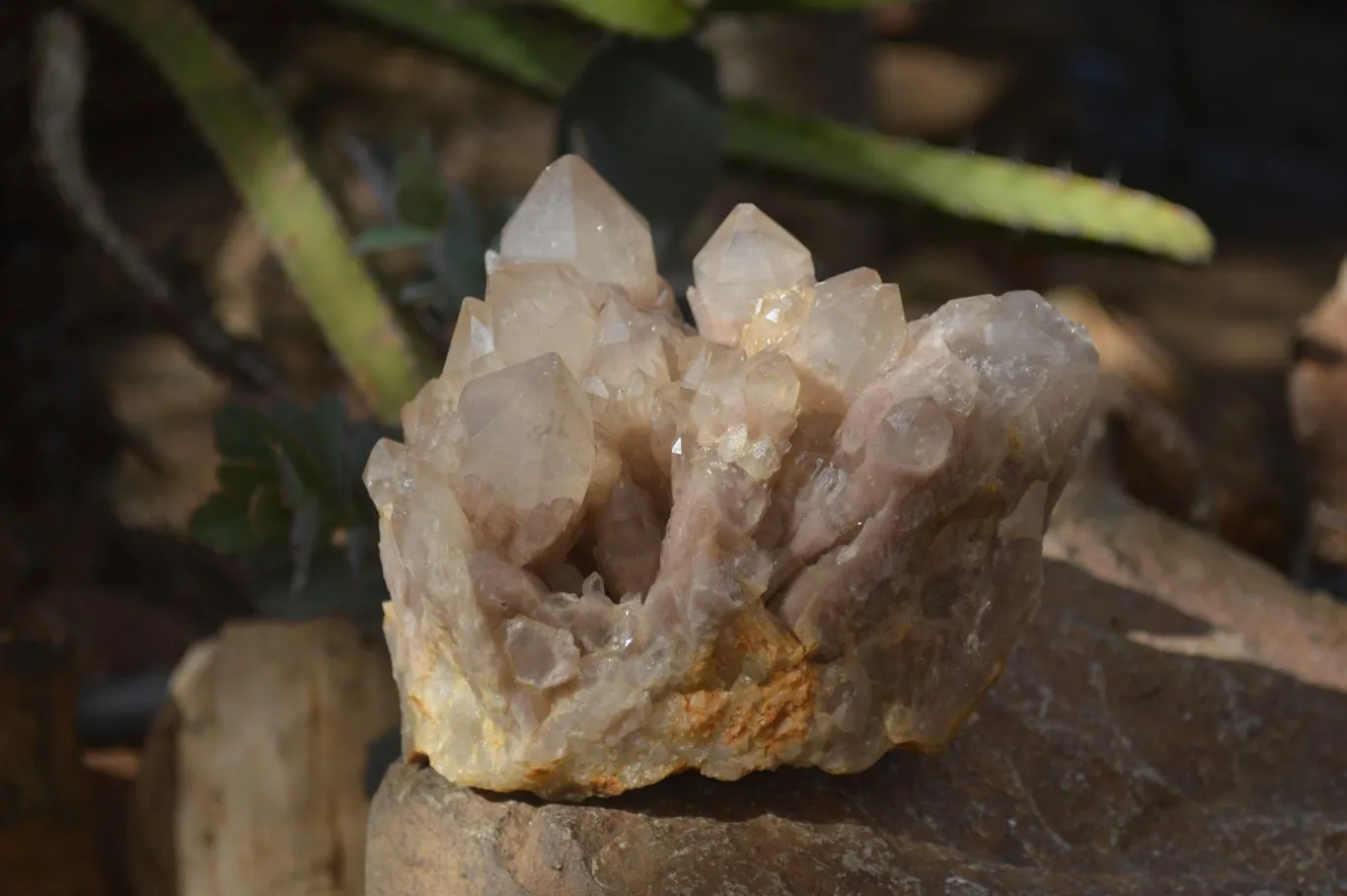 Natural Cascading Smokey Quartz Cluster x 1 From Luena, Congo