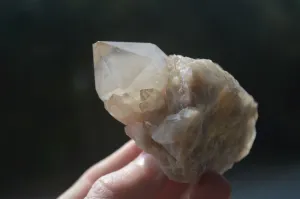 Natural Cascading White Phantom Smokey Quartz Clusters x 12 From Luena, Congo