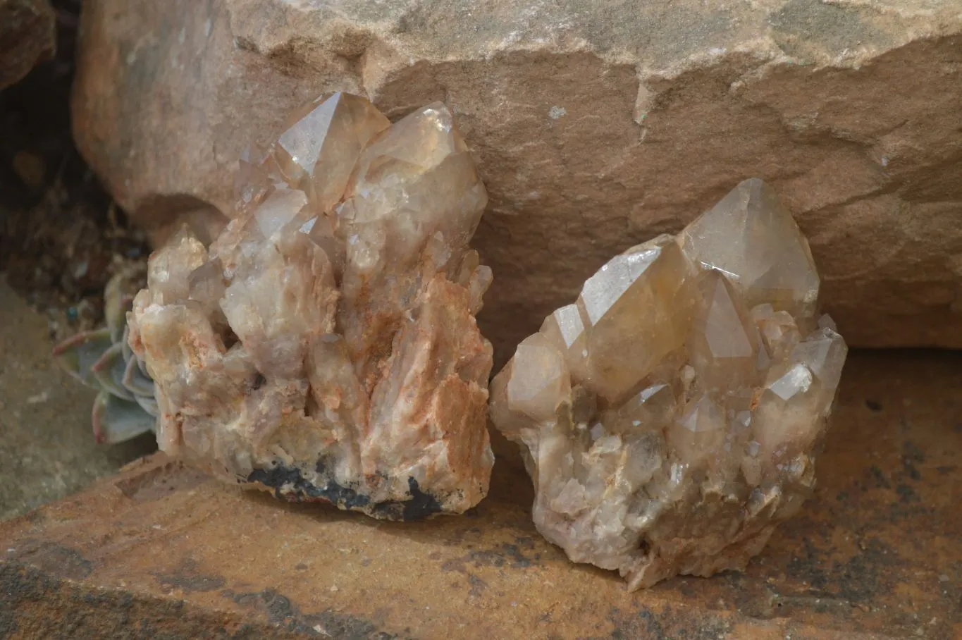 Natural Cascading White Phantom Smokey Quartz Crystals x 6 From Luena, Congo