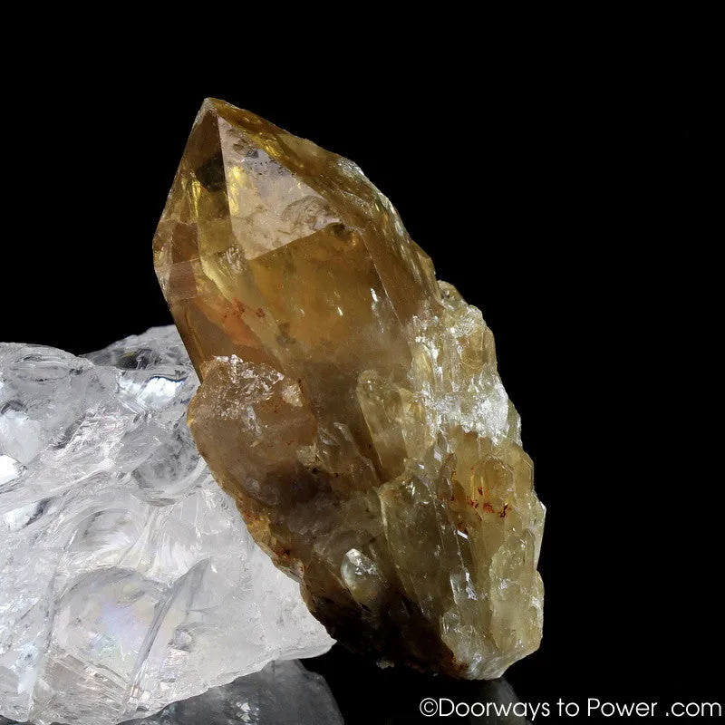 Natural Citrine Lightbrary Kundalini Quartz Channeling Crystal