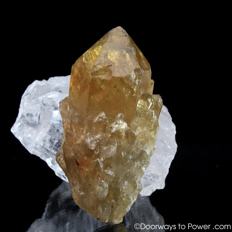 Natural Citrine Lightbrary Kundalini Quartz Channeling Crystal