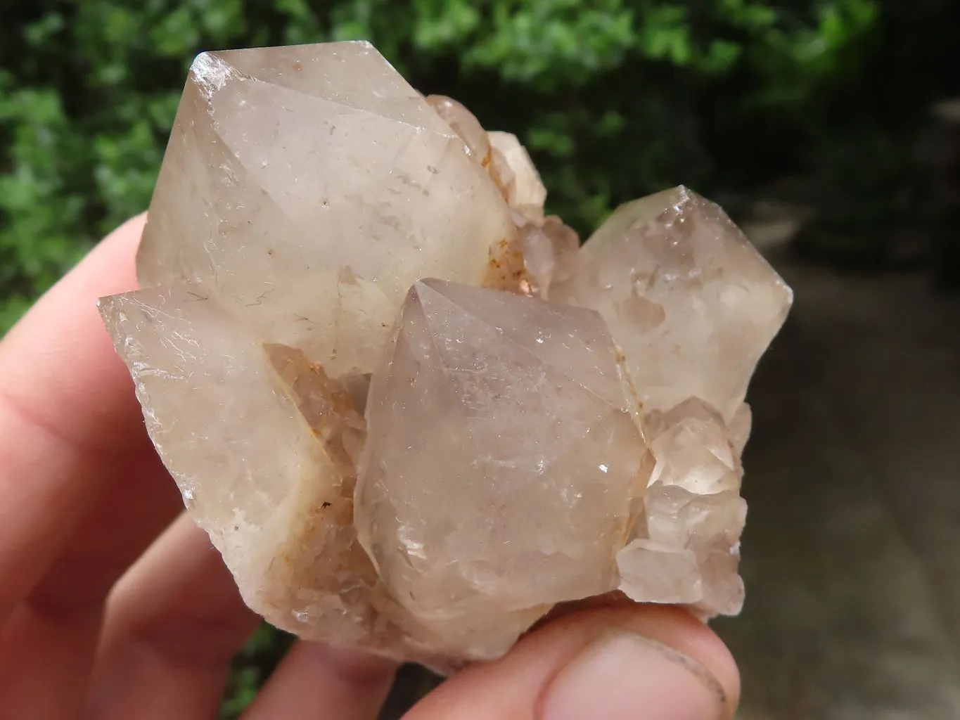 Natural Smokey Cascading Phantom Quartz Clusters x 6 From Luena, Congo