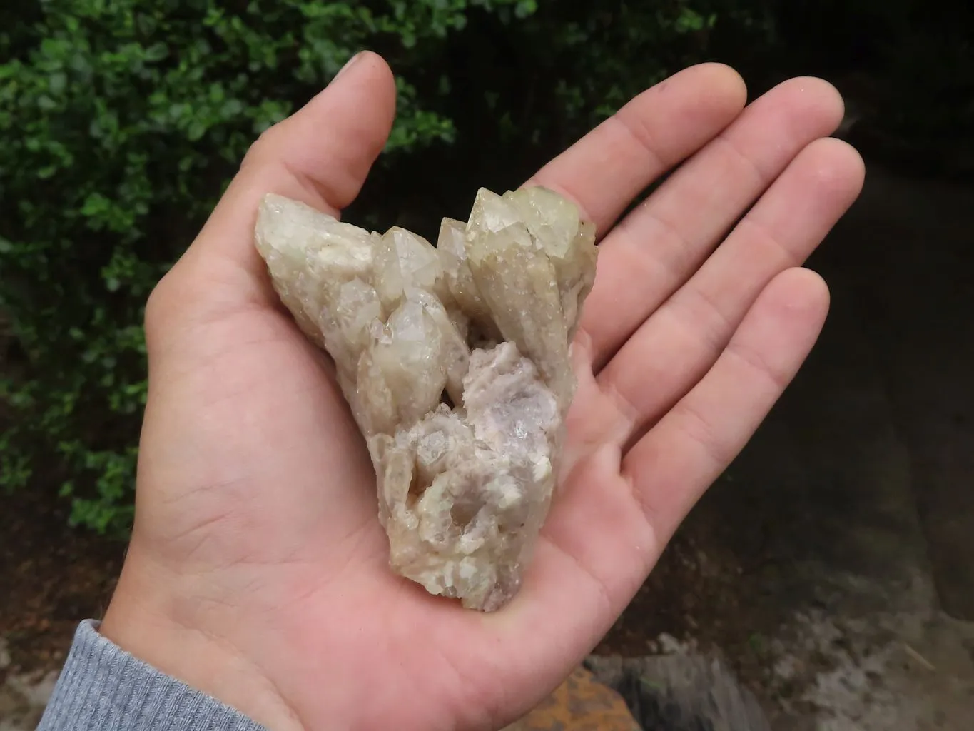 Natural Smokey Cascading Phantom Quartz Clusters x 6 From Luena, Congo