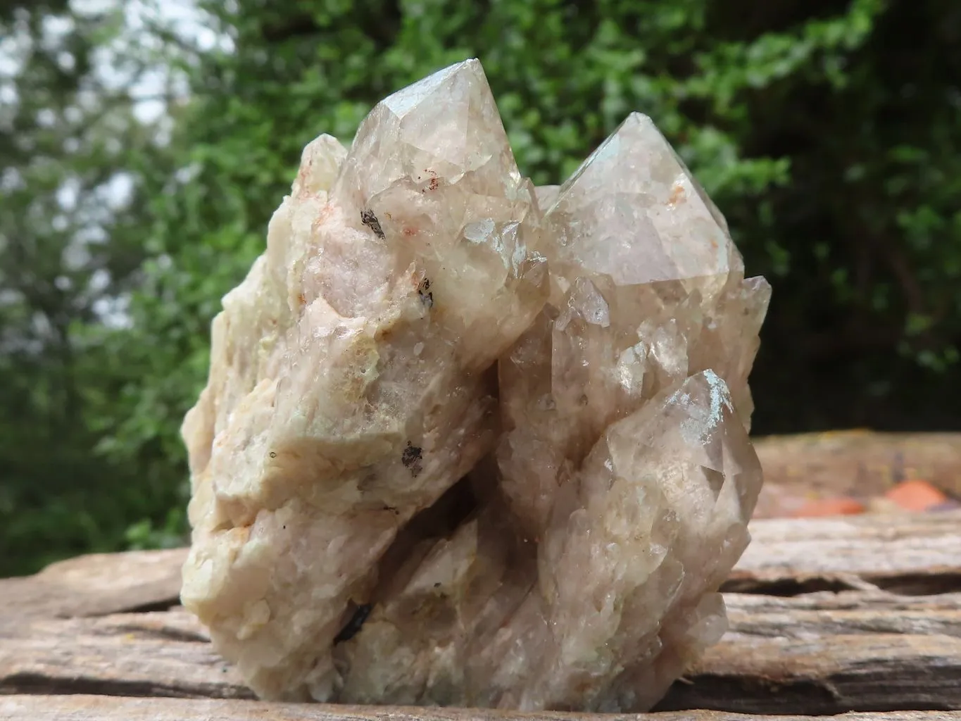 Natural Smokey Cascading Phantom Quartz Clusters x 6 From Luena, Congo