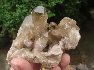 Natural Smokey Cascading Phantom Quartz Clusters x 6 From Luena, Congo