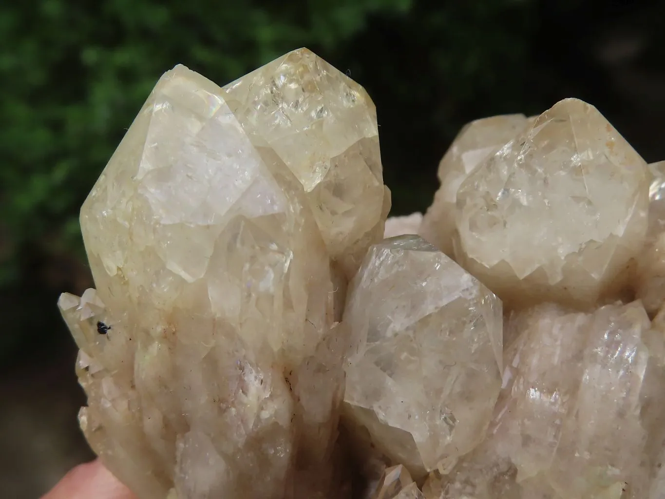 Natural Smokey Cascading Phantom Quartz Clusters x 6 From Luena, Congo