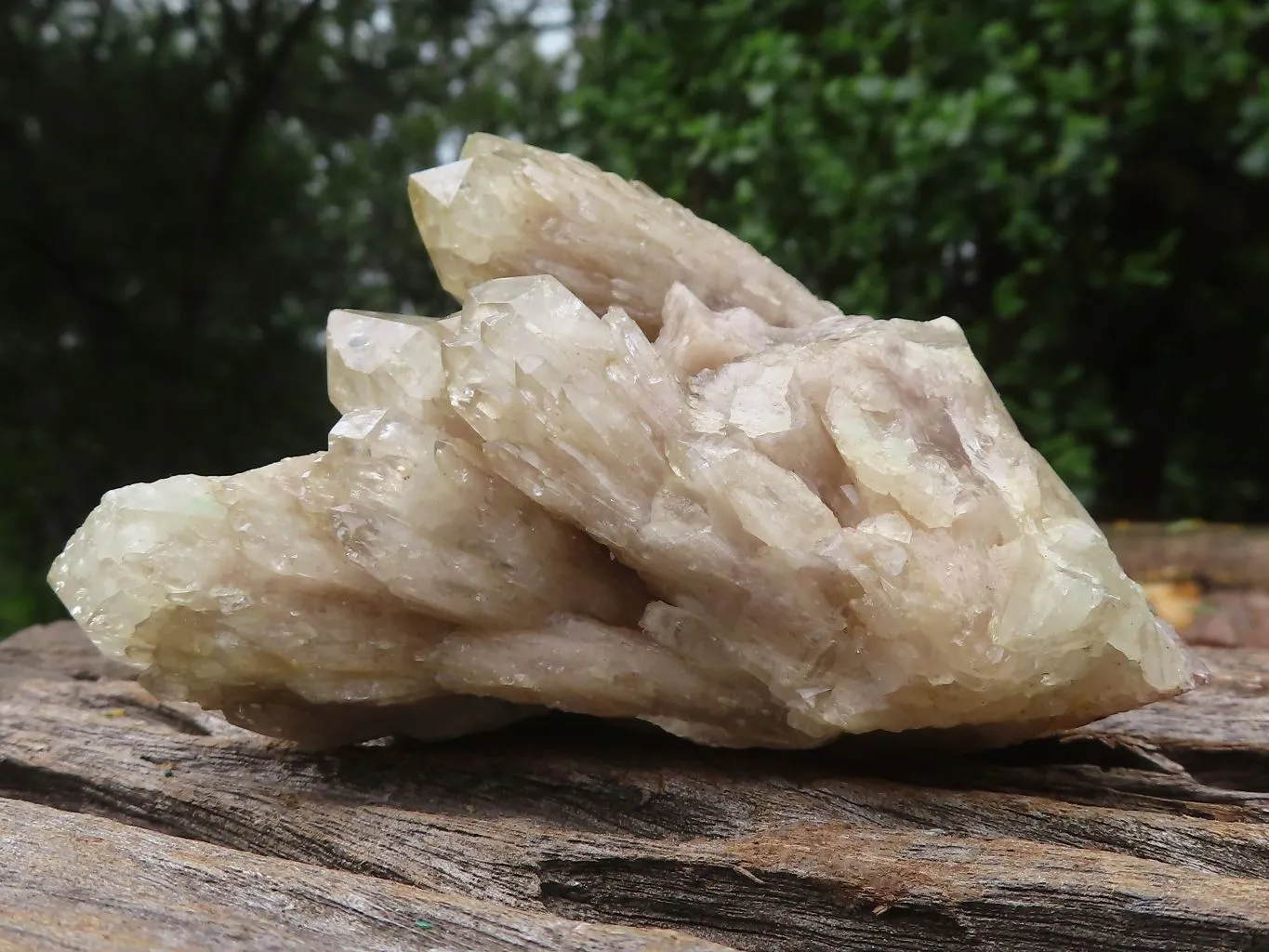 Natural Smokey Cascading Phantom Quartz Clusters x 6 From Luena, Congo