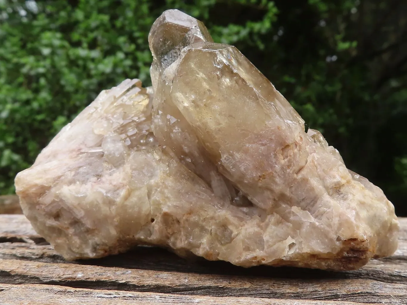 Natural Smokey Cascading Phantom Quartz Clusters x 6 From Luena, Congo