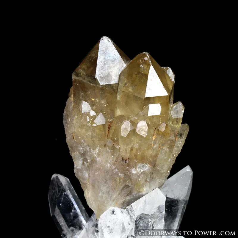 Rare 3" Natural Citrine Lightbrary Kundalini Quartz Dow Crystal Cluster