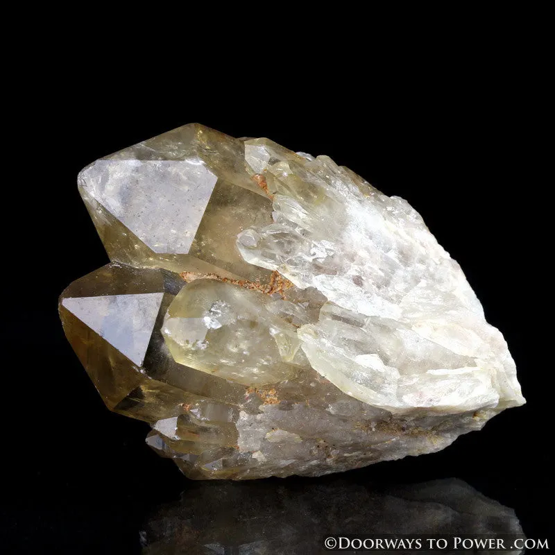 Rare 3" Natural Citrine Lightbrary Kundalini Quartz Dow Crystal Cluster