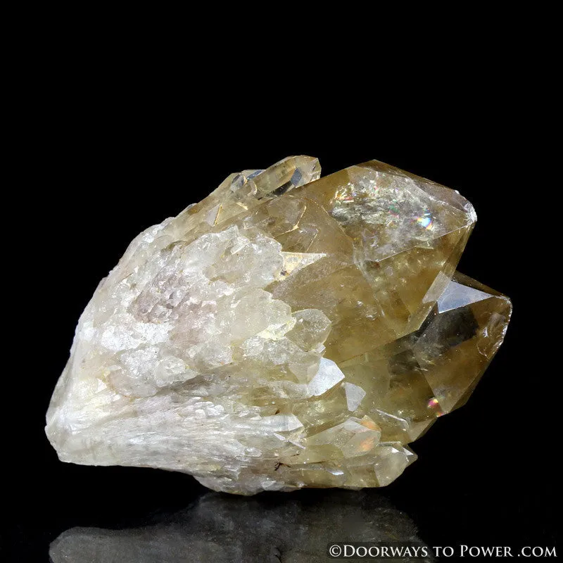 Rare 3" Natural Citrine Lightbrary Kundalini Quartz Dow Crystal Cluster