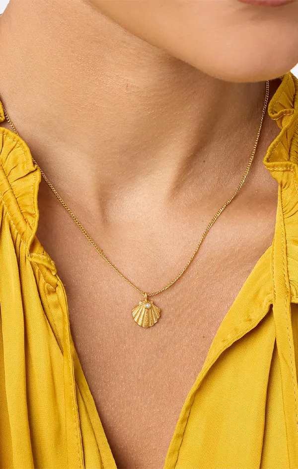 Sanibel Shell Delicate Necklace